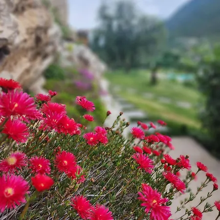 Nocleg ze śniadaniem Elle Ecoholiday Malcesine