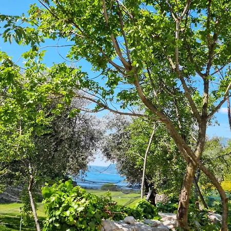 Elle Ecoholiday Nocleg ze śniadaniem 4*