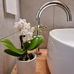 Bed & Breakfast Elle Ecoholiday