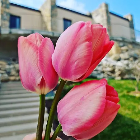 Elle Ecoholiday Malcesine