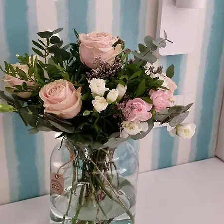 Panzió Elle Ecoholiday