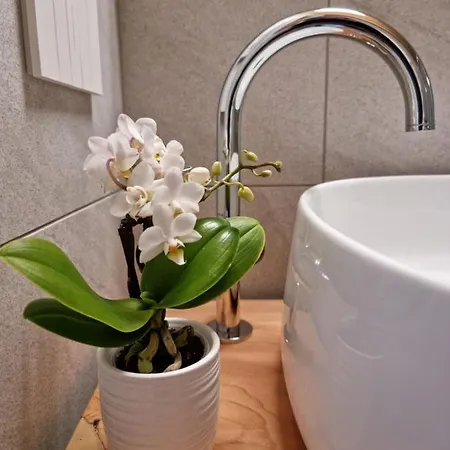 Bed and Breakfast Elle Ecoholiday