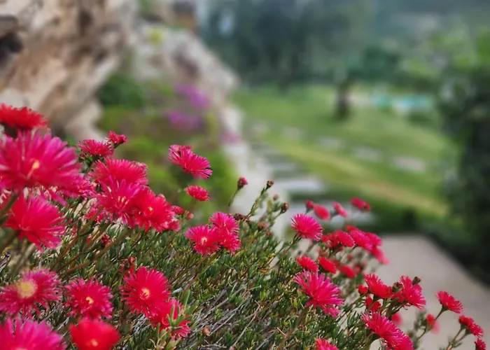 Bed & Breakfast Elle Ecoholiday Malcesine