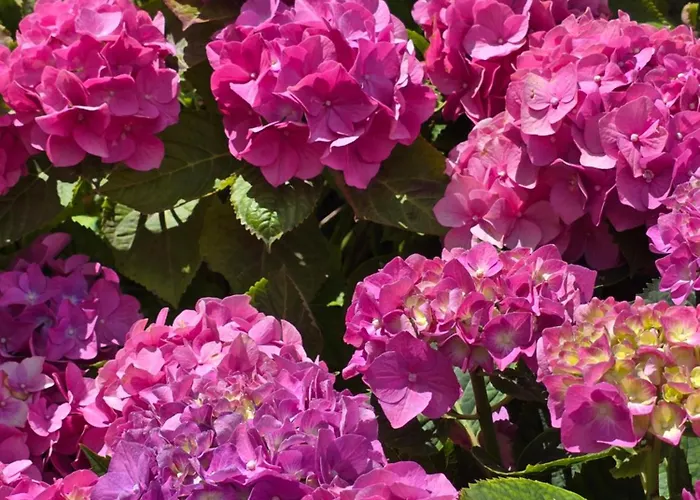 Elle Ecoholiday Bed & Breakfast