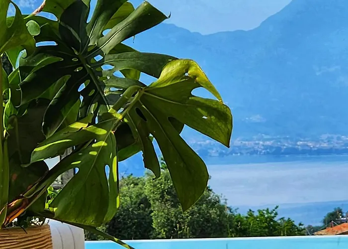 Elle Ecoholiday Мальчезине