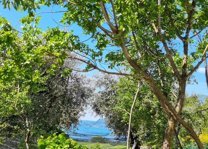 Elle Ecoholiday Отель типа 