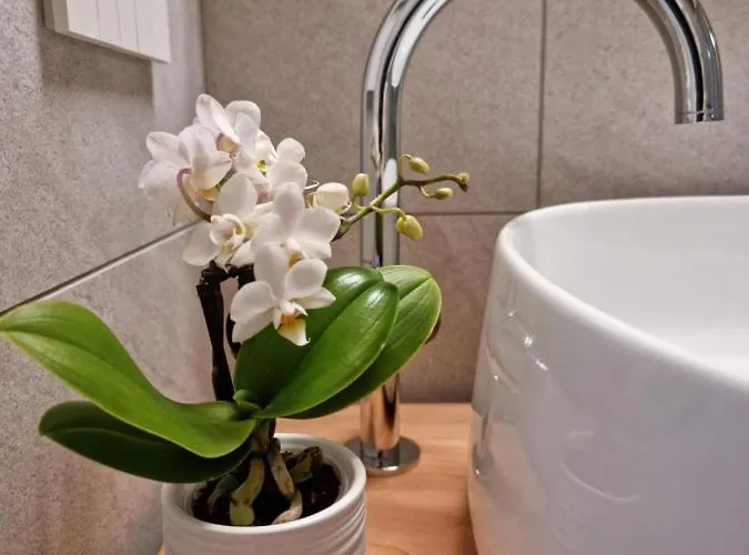 Bed and breakfast Elle Ecoholiday